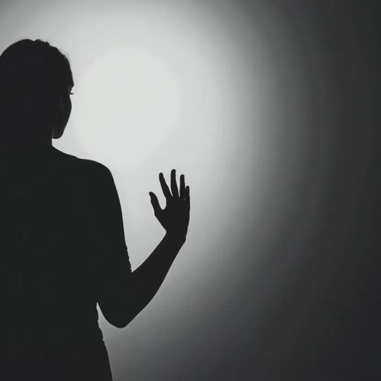 Human-silhouette-a0060cfea671455aae89aafafcaba6ba